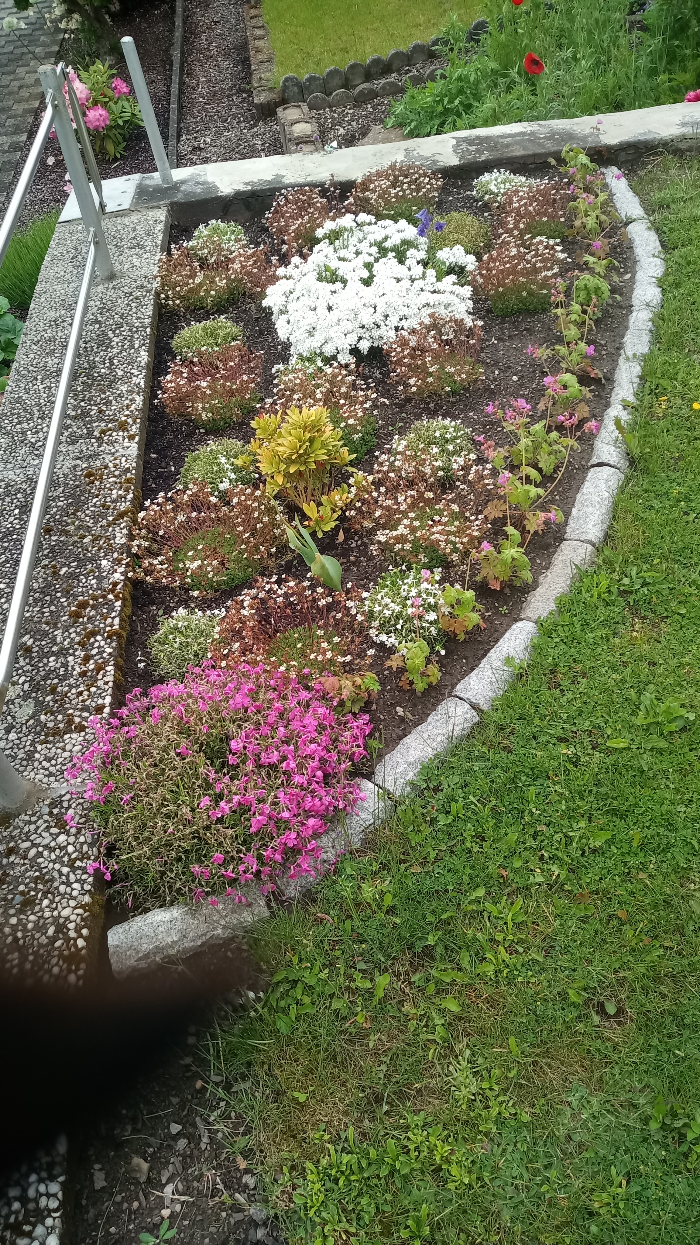 Garten-Pflege Siegen: Beetgestaltung