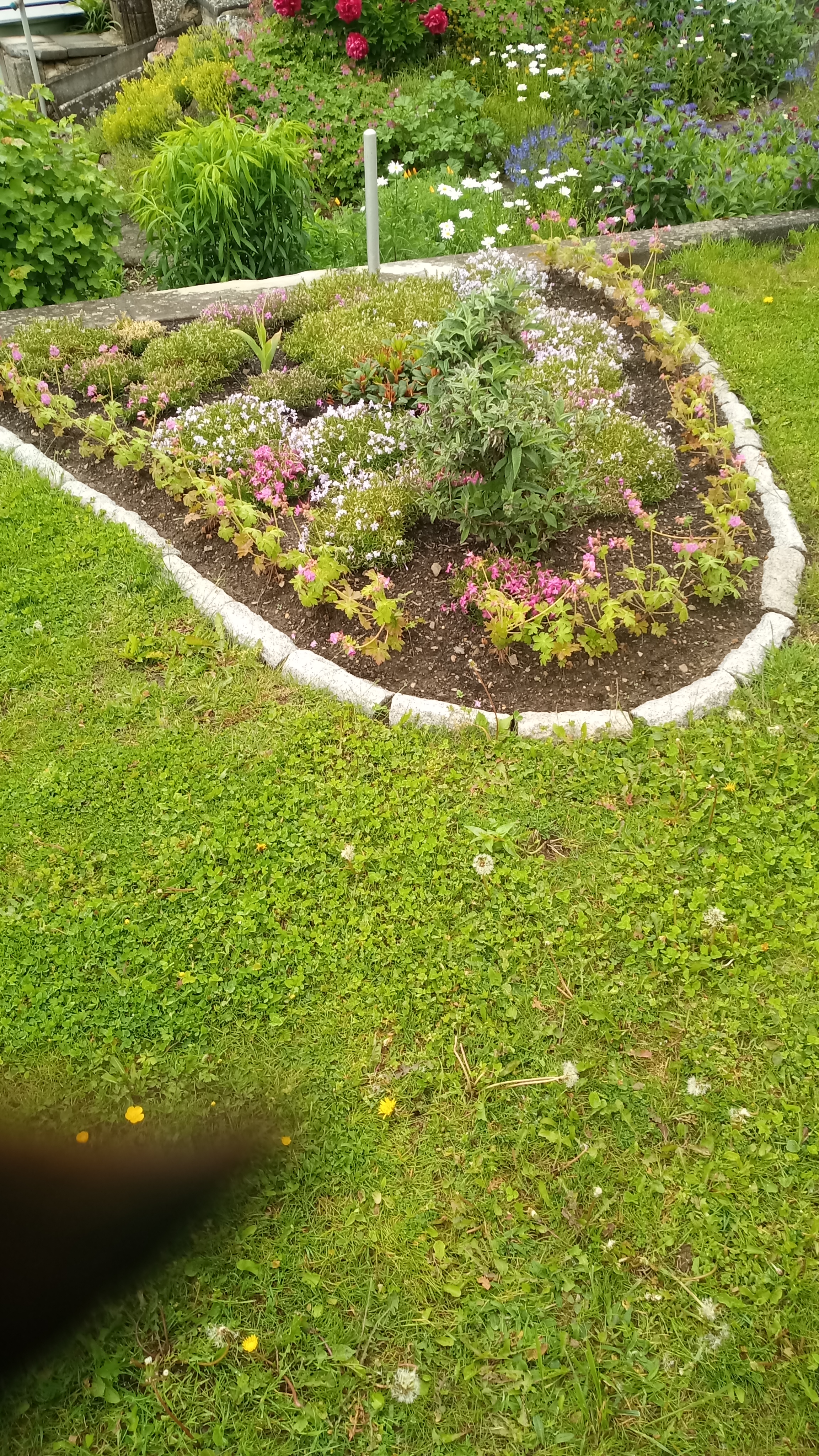 Garten-Pflege Siegen: Beetpflege